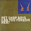 Pet Shop Boys Can You Forgive Her album cover