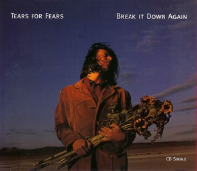 Tears For Fears Break It Down Again album cover