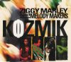 Ziggy Marley & Melody Makers Kozmik album cover