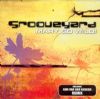 Grooveyard Mary Go Wild album cover