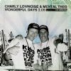 Charly Lownoise & DJ Mental Theo Wonderful Days album cover
