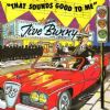 Jive Bunny & The Mastermixers That Sounds Good To Me album cover