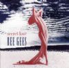 Bee Gees Secret Love album cover