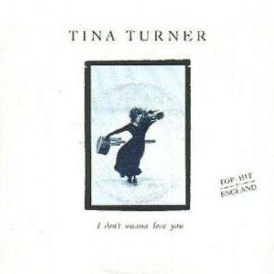 Tina Turner I Don't Wanna Lose You album cover