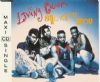 Living Colour Solace Of You album cover