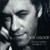 Bob Geldof Great Song Of Indifference album cover