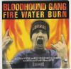 Bloodhound Gang Fire Water Burn album cover