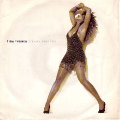 Tina Turner Steamy Windows album cover