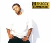 Shaggy - Boombastic