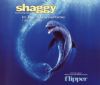 Shaggy In The Summertime album cover