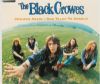 Black Crowes Jealous Again album cover