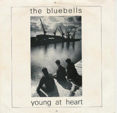 Bluebells Young At Heart album cover