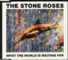 Stone Roses Fools Gold album cover