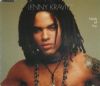 Lenny Kravitz Fields Of Joy album cover