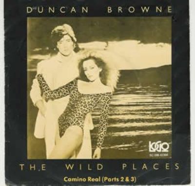Duncan Browne the Wild Places album cover