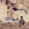 Arrested Development Tennessee album cover