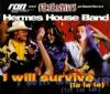 Hermes House Band I Will Survive album cover