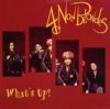 4 Non Blondes What's Up album cover