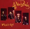 4 Non Blondes - What's Up