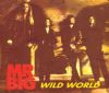 Mr Big - Wild World