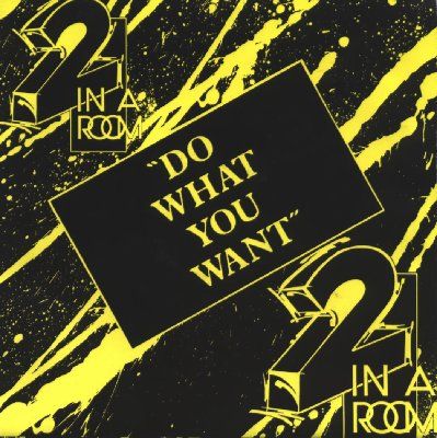 2 In A Room Do What You Want album cover
